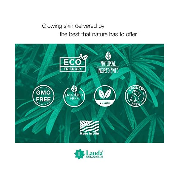 Oily-Face-Control-Mattifying-Primer-and-Moisturizer-with-Salicylic-Acid-and-Tea-Tree-Oil-Anti-Shine-Facial-Primer-for-Men-and-Women-2-Oz-by-LAUDA-BOTANICALS Mattifying Primer and Face Moisturizer with Salicylic Acid and Tea Tree Oil, Daily Face Lotion Non-Greasy Hydrating Anti Shine Facial Primer for Men and Women, 2 Oz by LAUDA BOTANICALS