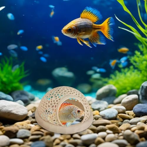 Generisch Betta Höhle Lounge | Aquarium Deko Versteck & Hängematte, Durchschwimm-Tunnel Für Betta, Kleine Fische, – Aquariendeko Mit Pflanzenhalter (Schwarz, Mittel)