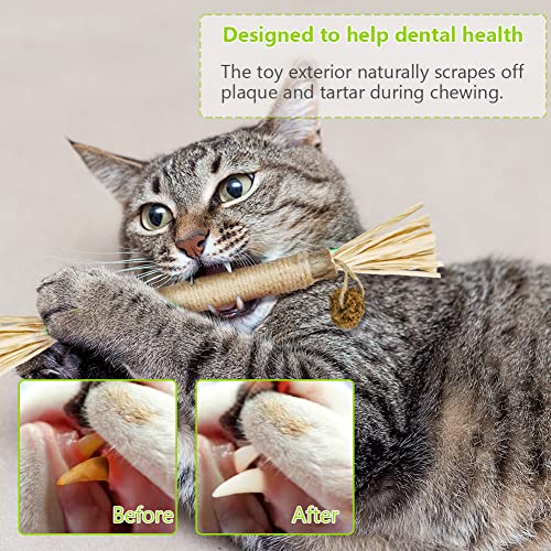 vsshe Katzenminze Sticks,6 Stück Matatabi Katzensticks Katzenminzen Spielzeug Matatabi Stick Katzen Sticks Katzenminze Zähne Reinigung… – Ansicht 6