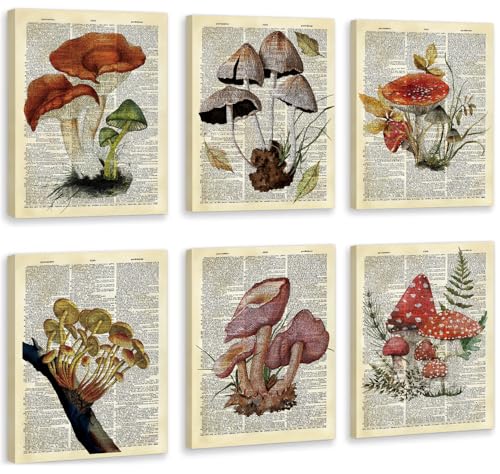 CHDITB Mushroom Wall Art, Mushrooms Dictionary Framed Canvas Wall Art