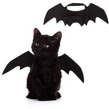 ハロウィン魔女のフィギュア 黒猫 コウモリ付きライトアップ ハロウィン魔女のフィギュア 黒猫 コウモリ付きライトアップ