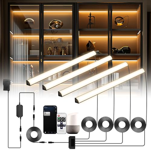 Lumtide Black Shelf Lights, LED Bookcase Lighting...