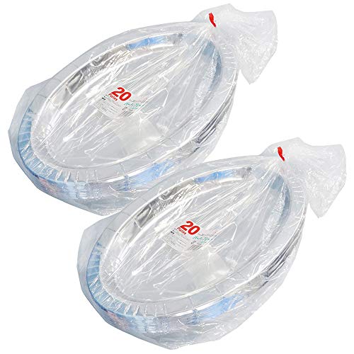 ペーパーウェア(Paperware) 使い捨て食器 シルバー 36×23×2.5cm 2個セット