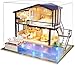 La Vida en Led DIY Casa de Muñecas con Piscina Miniatura Puzzle 3D con Luz y Música (con Caja de Exposición)