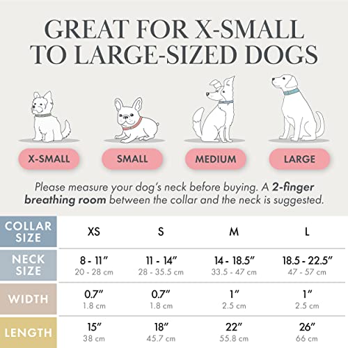 NINA WOOF Milan Leather Dog Collar - Luxury Padded Collar With Adjustable Buckle for Extra Small Small and Large Dogs - Lilac, Small - Image 2