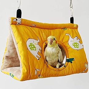 鳥用品 - Amazon.co.jp