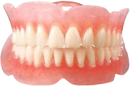 ȃf1F1̃V~[Vf-̋猤̂߂̋珀Ho`f (㎕AA1Zbg)