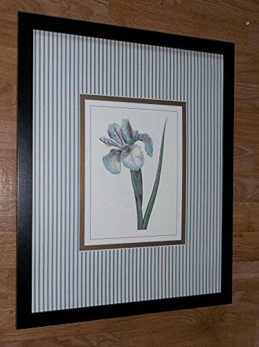 Láminas Botánica 2 unidades Pierre Redoute - cada