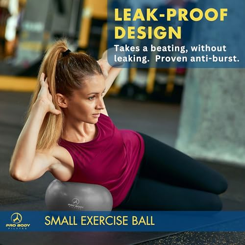 ProBody Pilates Ball, Kleiner Gymnastikball, 9-Zoll-Barre-Ball, Trainingsball für Stabilität, Barre, Bauch, Rumpf, Physio- und Physiotherapieball für das Fitnessstudio (Silber)