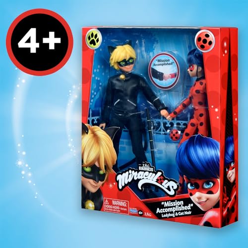 BANDAI - Miraculous Ladybug - Pack mit 2 26 cm Gelenkpuppen - Schatulle Ladybug und Cat Noir - Miraculous Spielzeug Puppe - Kinderspielzeug ab 4 Jahren - P50365