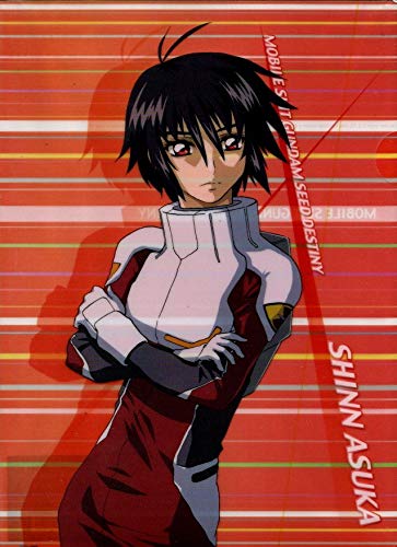 Amazon.co.jp: クリアファイル 機動戦士ガンダムSEED DESTINY