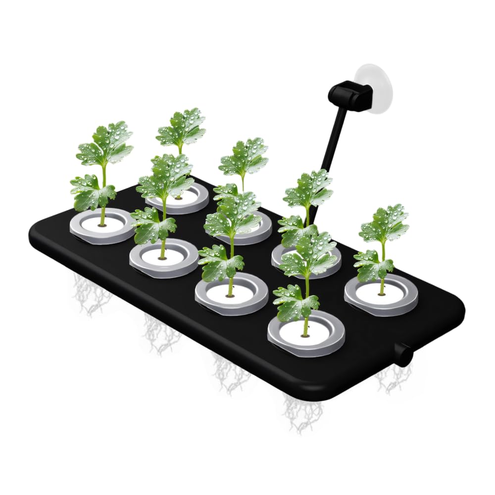 BDKMMS Aquarium Plant Holder, 360° Rotatable 8-Slot Hydroponic Plant Basket with Suction Cup Mount for Fish Tank Plants Cultivation Decoration