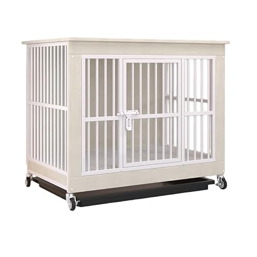 ALX^[tƋA ybgP[WA^E^p ؐApT[NAŃX^CbVAgCtX^CbVAT[N /O  g[t ȒP ؐ+X`[  Eh~ |Ǝ[ȒP (80