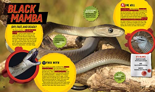 Bite, Sting, Kill: The Incredible Science of Toxins, Venom, Fangs, and Stingers (National Geographic Kids) - Image 3