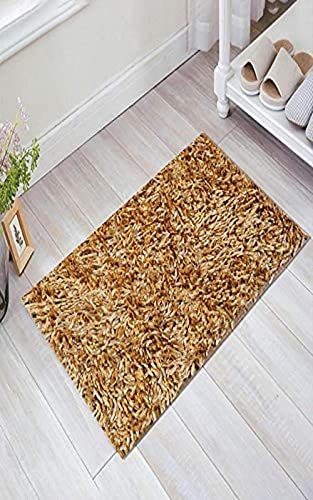 Image of CASA-NEST Premium Anti Skid Bath Mat,Super Soft Doormat,Shaggy Microfiber,Washable,Size=16x24 inch,Color-Gold
