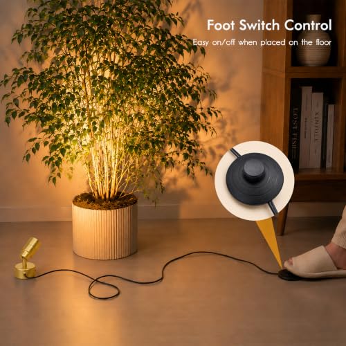 Image of 2 Pack LED Spot Lights Indoor, 3W Uplighting Indoor with Remote Control Dimmable and Timer, 3 Lighting Modes Spotlights, Accent Uplights Indoor Solid Wall Light for Plants Picture Artwork, Gold
