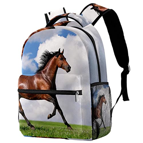 Bolsos de hombro de caballos para camping y rutas de montaña