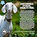 Goat Milk Soap Moisturizing Shampoo & Conditioner Value Pack - Sulfate, Paraben, and Petrochemical Free - Shampoo and Conditioner Set - Original
