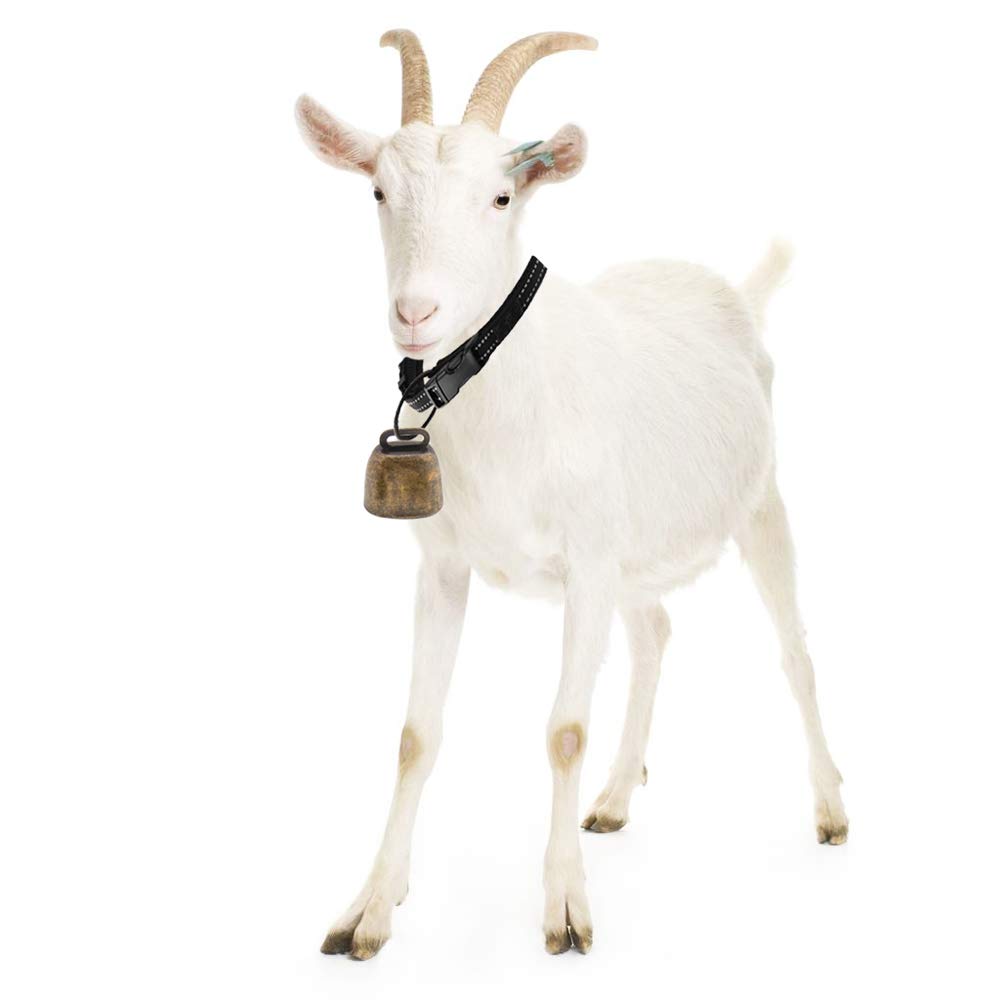 Campane per animali domestici, in rame, per la fattoria, anti-Lost Bells fai da te, 4 pezzi, rosso, bronzo e bronzo verde