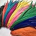 Sowder Lime Green Rooster Coque Tail Feathers 12-14inch Lengh Pack of 50