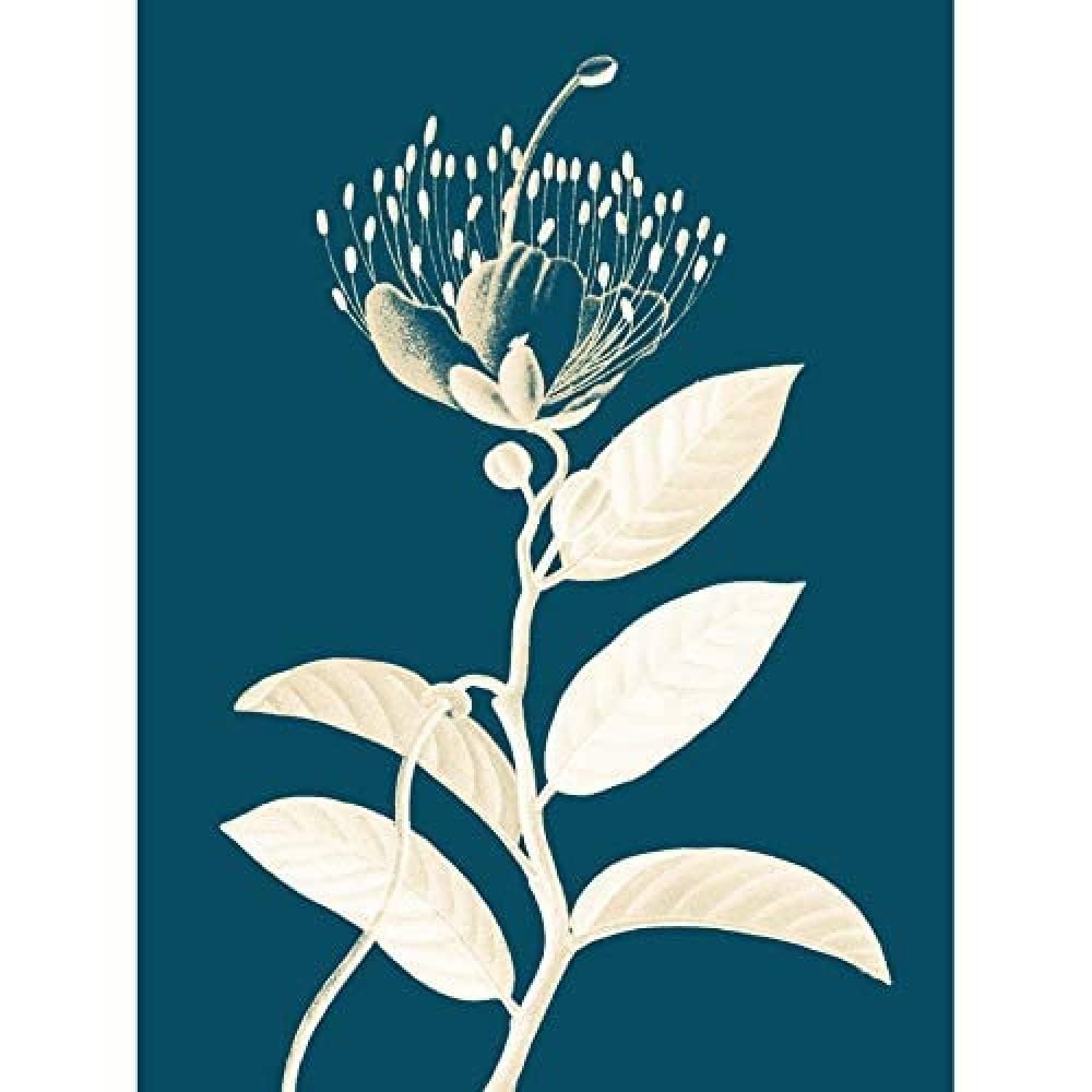 Wee Blue Coo Modern Bold Biodiversity Blue Plant Art Print Canvas Premium Wall Decor Poster Mural