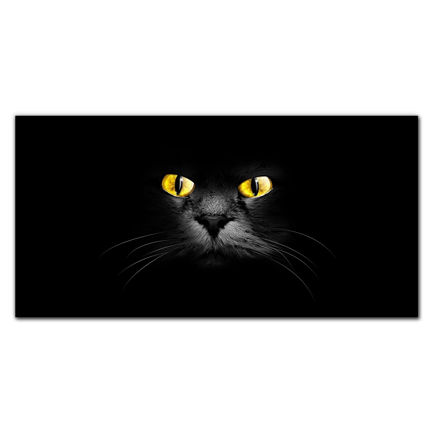 Protection murale adhésive en verre trempé haut de gamme 140x70cm