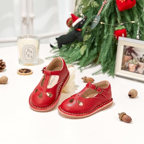 Image of Felix & Flora Toddler Little Girl Princess Dress Shoes-Mary Jane Flats for Girl Party School Shoes