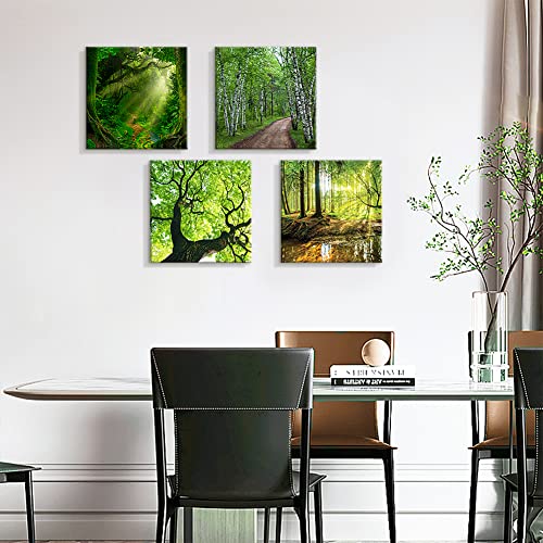 Soleebee 4 Teilig Premium Poster Set mit Hohe Qualität Rahmen, Kunstdruck Bilder Leinwandbilder Deko Home Deko für Schlafzimmer und Wohnzimmer 30 x 30 cm - Wald