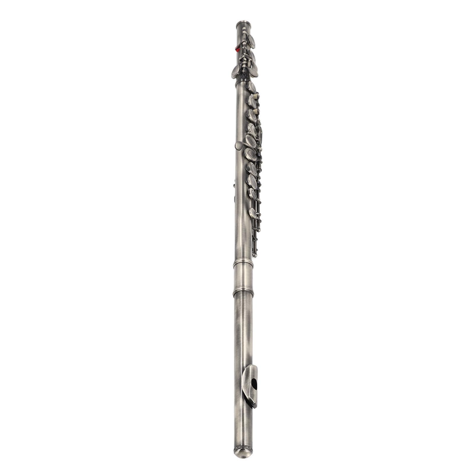 Eujgoov Flauta C de 16 Teclas, Material de Cuproníquel, Ideal para Estudiantes y Principiantes, Excelente Rendimiento para Práctica y Grabación Musical (Azul verdoso antiguo)