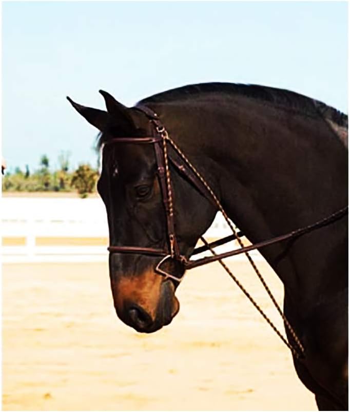 Camelot Full Size Chambon Horse Riding Lunge Training Device