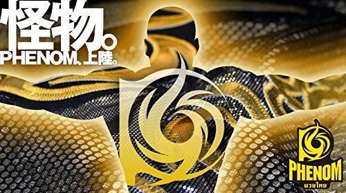 Amazon | PHENOM フェノム PHFM3 パンチキック兼用 湾曲キックミット