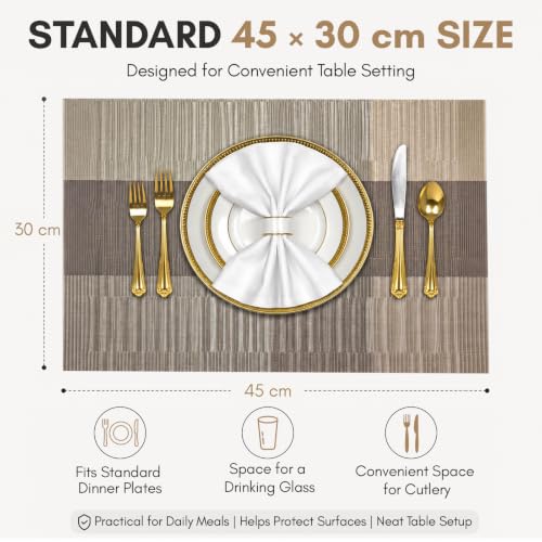 Image of Solitude Set of 6 Dining Table Placemats | Non-Slip PVC Table Mats, Heat Resistant, Washable, Stain-Resistant Surface, (Silver & Grey, 45 x 30 cm)