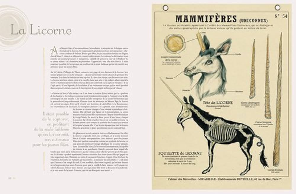 Créatures fantastiques 　DEYROLLE Créatures fantastiques Deyrolle : Panafieu, Jean-Baptiste de