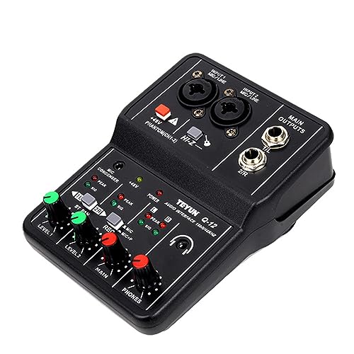 Funien Carte Son Externe D'Interface Audio USB RHM 2 Entrées 2 Sorties Avec Alimentation Fantôme 48 V Pour Mixeur Audio Professionnel