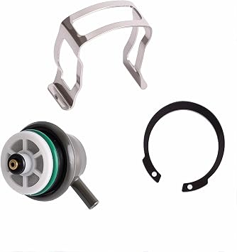 Fuel pressure regulator compatible with Chevrolet Buick Cadillac Isuzu GMC Hummer Pontiac Oldsmobile #FP10021 PR217 217-3073 PR203 PR155
