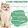 Kidney Support for Cats, Cat Kidney Treatment Support Cat Urinate Regularly, Strengthen Kidney Function,Increase Immunity, Herbal Supplement Supports Healthy Kidney Function- 2PCS