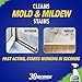 30 SECONDS Mold & Mildew Stain Remover Spray- Indoor & Outdoor Use - 2 Pack (2)