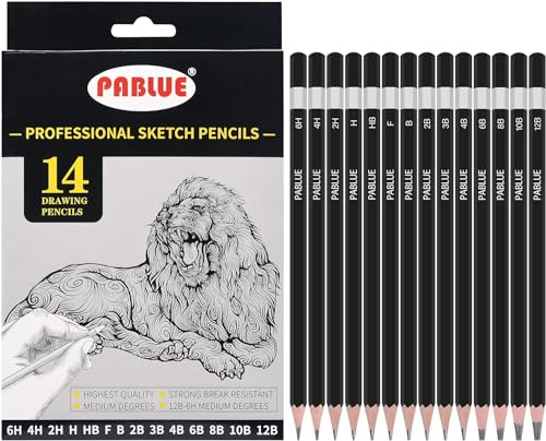 Crayons à dessin UNJOO Set de 14 graphites pour esquisse peinture et beaux-arts