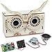 DIY Electronic Bluetooth Speaker Kit,3D Model Kits for Kids&Adults to Build, STEM Project Building Sets for Teens,Build Your Own Educational Gifts for Boys Beginners Learning Circuit (Model OWL)