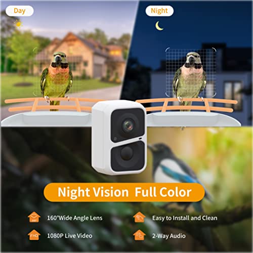 Image of Solar Powered AI Window Bird Feeder with 2MP Camera | Weatherproof | Smart | Outdoor Decor | Metal Feeder for Birds /Pack of 1