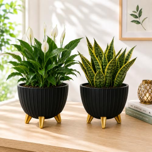 Image of (7 Inch) Plastic Gamala for Indoor Outdoor Plants with Stand, planters for Home Decor, Flower Pot with Legs, Flower Pot for Living Room, Garden, Pot for Office Table & Home (Black, 3)