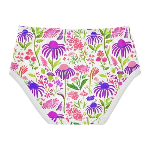 Girls Underwear Toddler 2t Cotton Panties Little Girl Fancy Briefs Underpants Purple Pink Wildflowers2