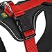 Hunter Hunde-Geschirr Neopren