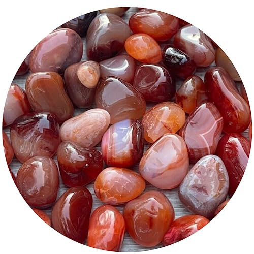 Image of GAF TREASURES 1 /2 LB Carnelian Tumbled Stones, Polished Carnelian Gemstone, Carnelian Healing Crystals (Carnelian)