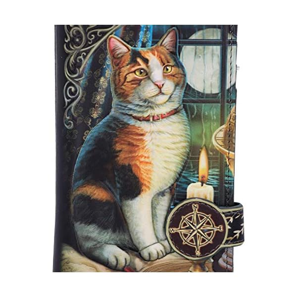Nemesis Now Lisa Parker Adventure Awaits Calico Cat Ship Geldbörse, geprägt, Schwarz, 18,5 cm – Bild 7