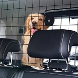 VEVOR Hunde Autobarriere einstellbare Trennwand Hundegitter (968 x 405 mm) Autoschutzgitter für die Rücksitze, Haustierbarriere aus Drahtgeflecht, universell passende Autobarriere für SUVs Lkws