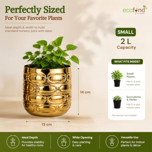 Image of ecofynd 1 Pack Metal Plant Pots (5 inch), Indoor Small Planter Flower Pots, Home Garden Decor Planter for Living Room Bedroom Interior (Gold Finish, POT056)