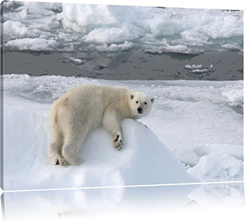 bel ours polaire sur un petit iceberg Toile, XXL photos complètement encadrée avec de grandes images de coin, art impression sur la photo murale avec cadre,...