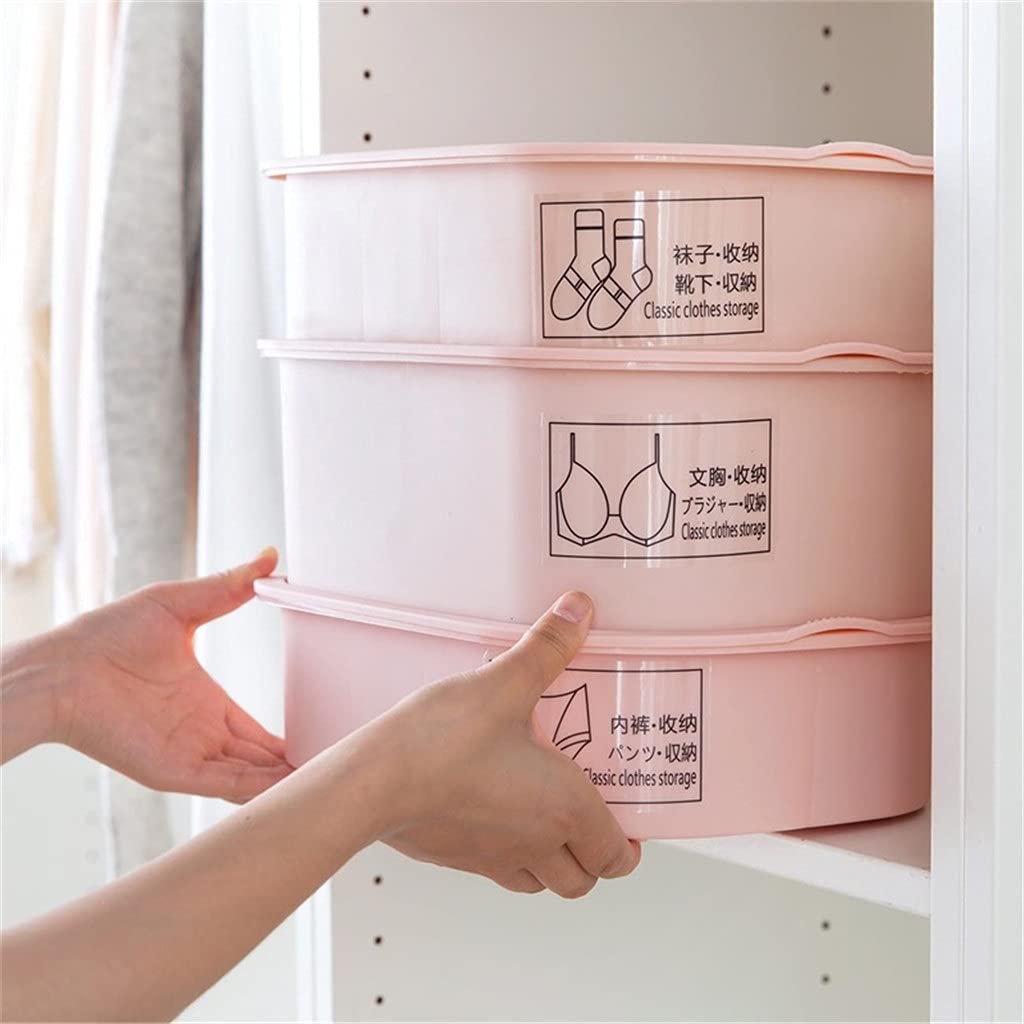 sous-vêtements Placard Organisateur Tiroirs de Rangement en Plastique Diviseur Boîte de Rangement avec Compartiments Chaussettes Shorts Soutien-Gorge (Argento)