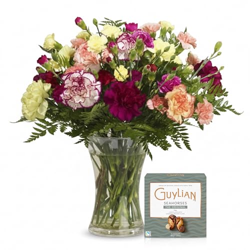 Sendabunch Mixed Spray Carnation Bouquet - 24 Fresh Stems with Free Box of Belgian Chocolates & Gift Message Card - UK Flower Delivery for Valentines Day, Birthday, Mother’s Day & Special Occasions